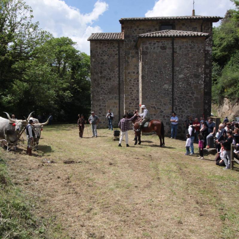 Festa Agricola di S. Isidoro