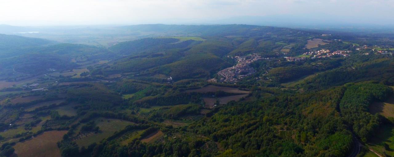 Caldera di Latera